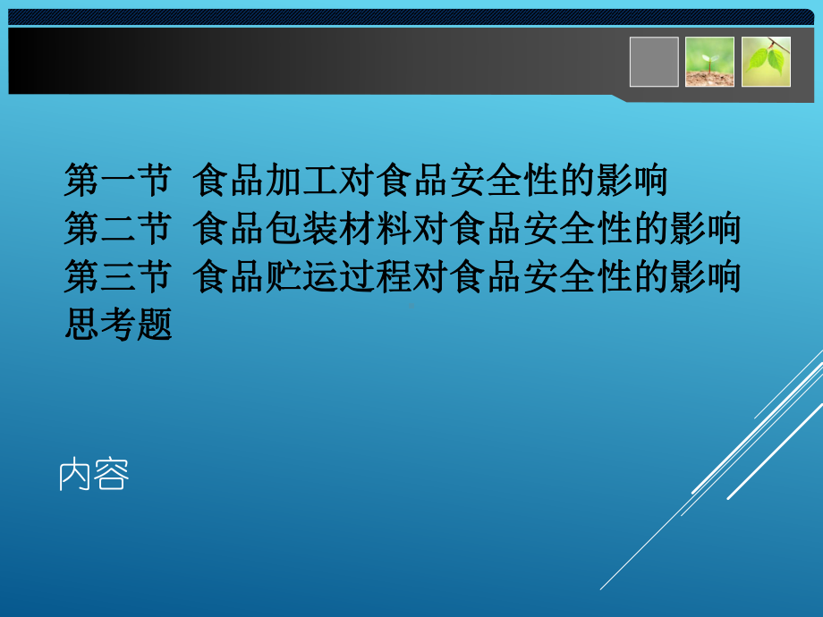 第七章-食品生产过程对食品安全性的影响课件.ppt_第2页