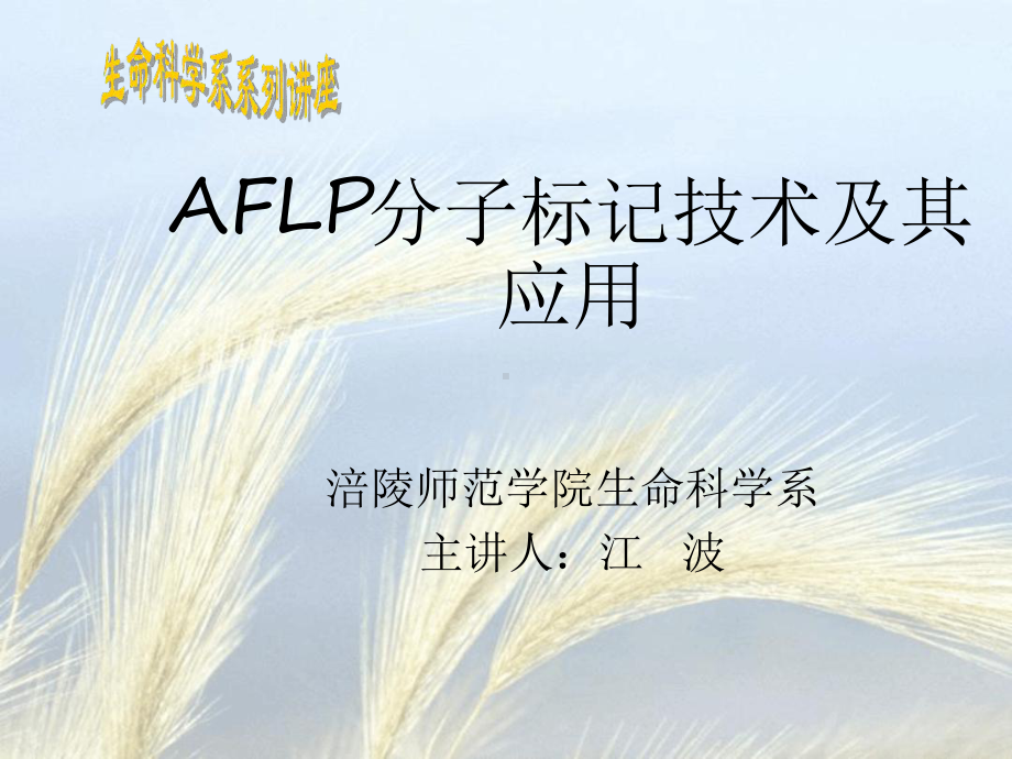 AFLP分子标记技术及其应用2课件.ppt_第1页