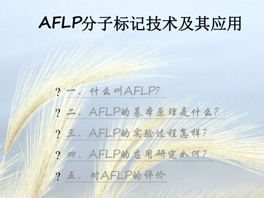 AFLP分子标记技术及其应用2课件.ppt_第2页