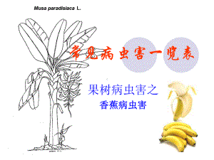 常见病虫害一览表课件.ppt