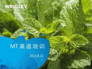 箭牌MT渠道培训手册要点课件.ppt