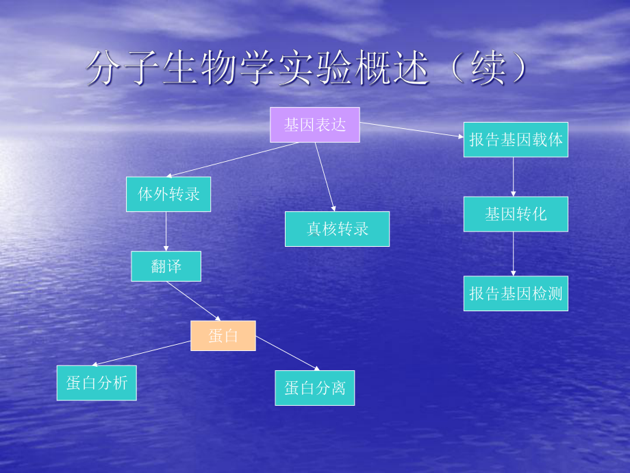 2020年分子生物学实验流程及相关试剂、仪器概述参照模板课件.pptx_第3页