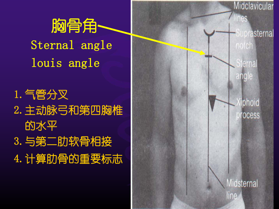 胸部体格检查课件.ppt_第3页