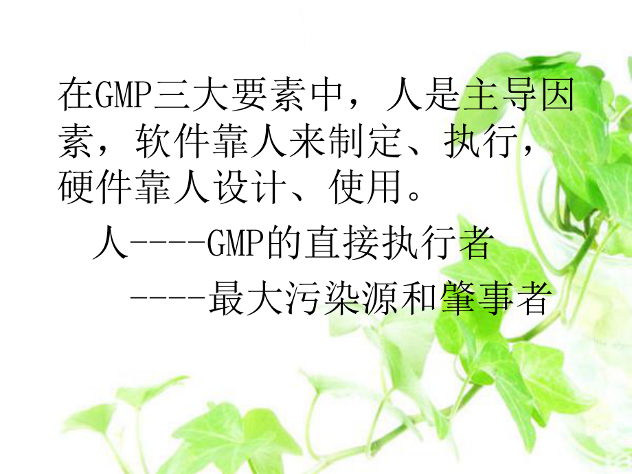 GMP第二章-组织与人员课件.ppt_第2页