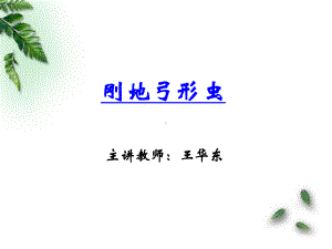 刚地弓形虫课件.ppt