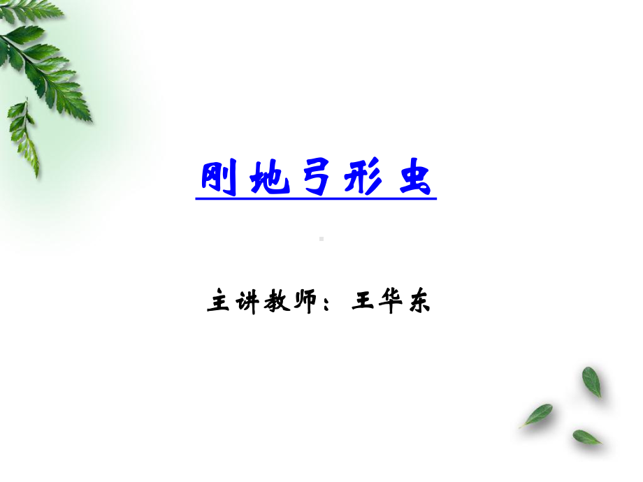 刚地弓形虫课件.ppt_第1页