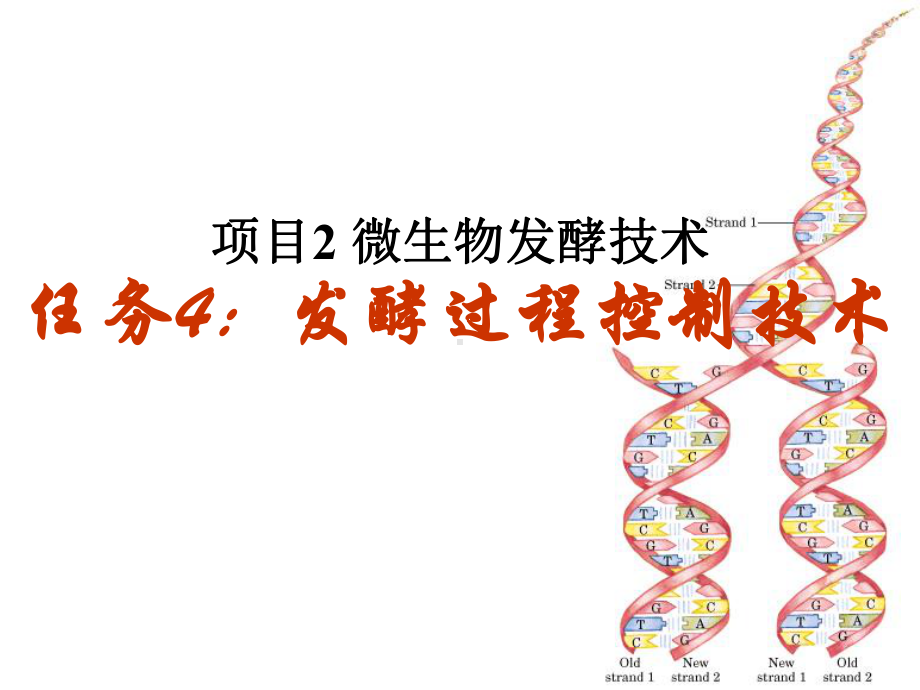 微生物发酵技术.课件.ppt_第1页