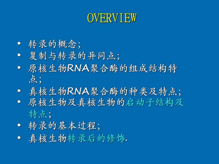 因子的转录终止课件.ppt_第3页