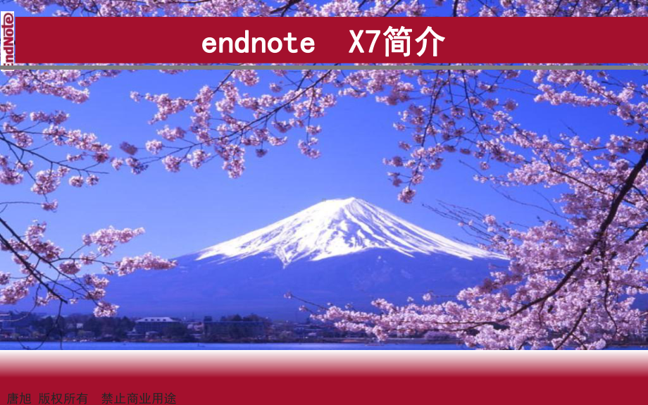 Endnote管理软件汇总课件.ppt_第3页