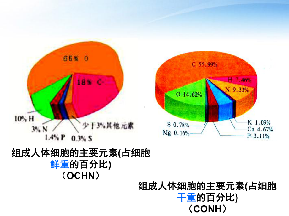 生物体年龄与细胞含水量的关系课件.ppt_第3页