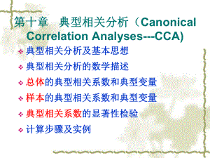 典型相关分析.课件.ppt