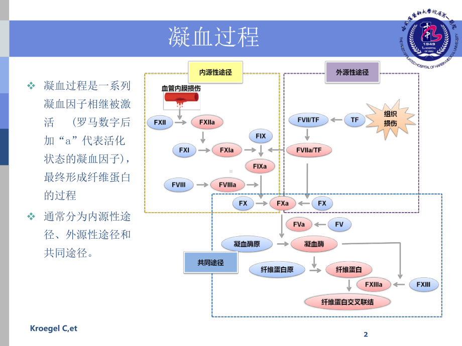 口服抗凝药安全性评价修改稿课件.pptx_第2页