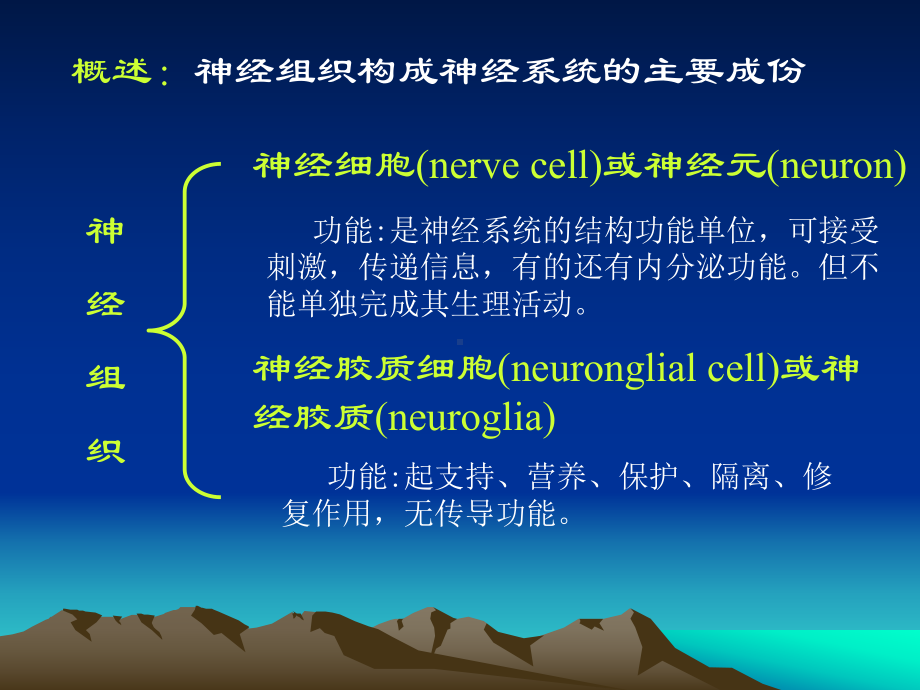 第七章-神经组织课件.ppt_第3页