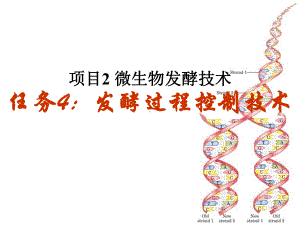 微生物发酵技术课件.ppt