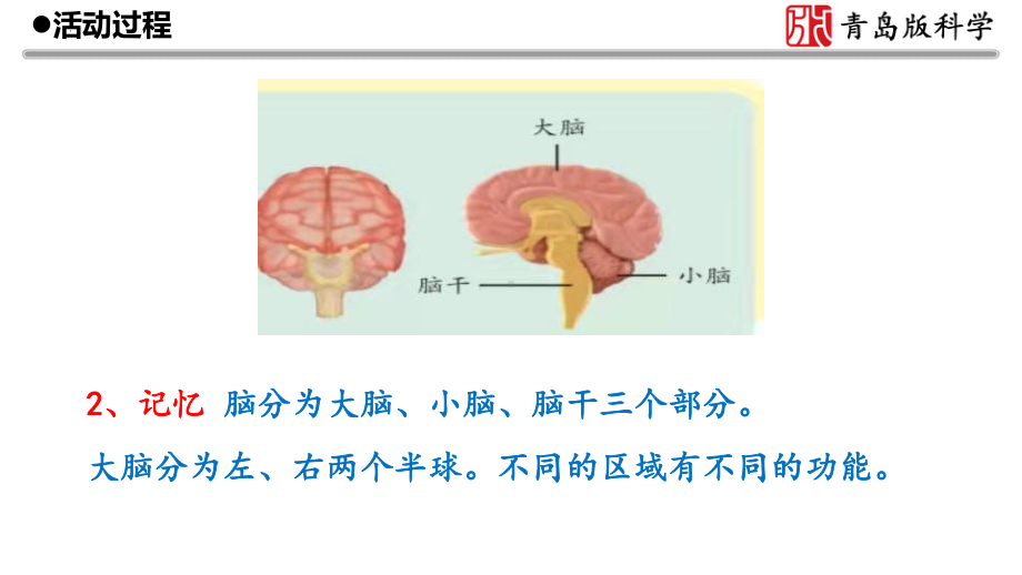 2021-2022学年青岛版（六三制）五年级下学期科学科学第一单元心和脑复习 ppt课件.pptx_第3页