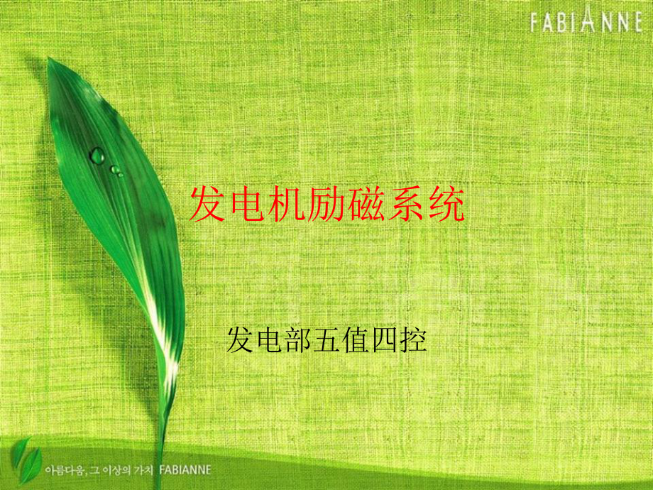 XX发电厂发电部-发电机励磁系统课件.ppt_第1页