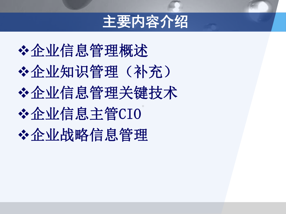 企业信息管理.课件.ppt_第2页