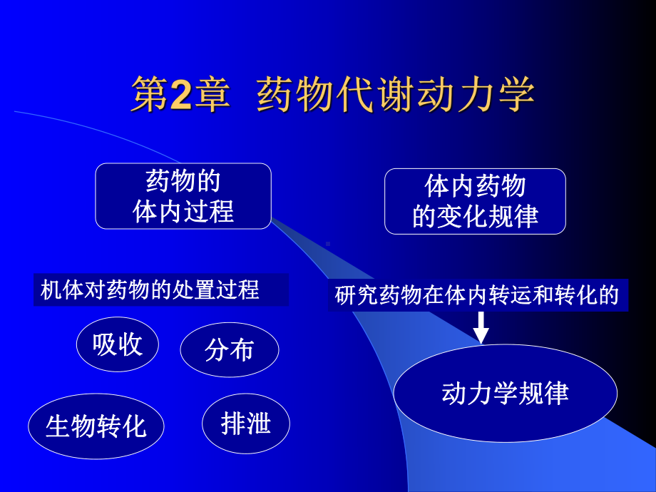 第2章-11-药物代谢动力学课件.ppt_第2页