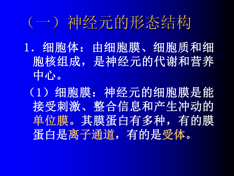 胚胎学：神经组织课件.ppt_第3页