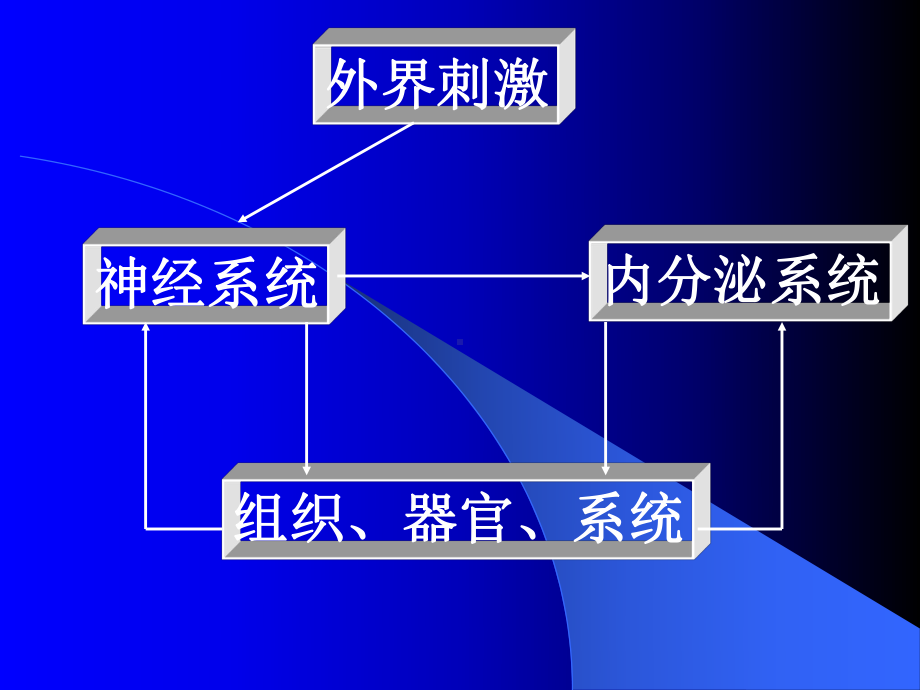 (ppt)组织、器官、系统课件.ppt_第1页