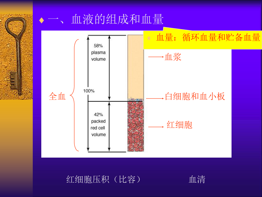 动物解剖与组织胚胎学血液课件.ppt_第3页