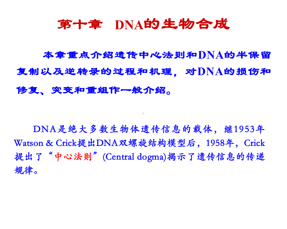 10 DNA的生物合成修复课件.ppt_第1页