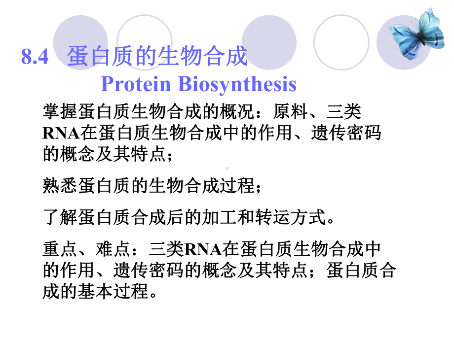 核酸代谢4-蛋白质合成课件.ppt_第2页