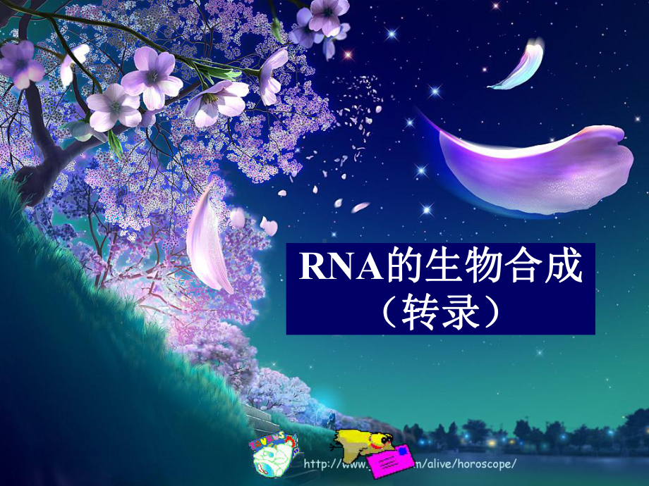 (ppt)RNA的生物合成（转录）课件.ppt_第1页