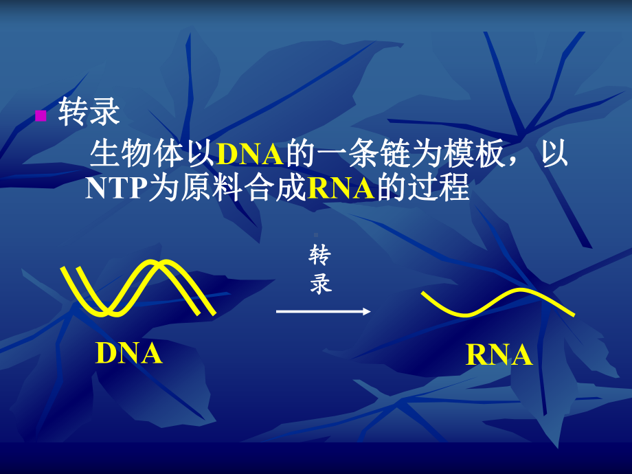 (ppt)RNA的生物合成（转录）课件.ppt_第3页