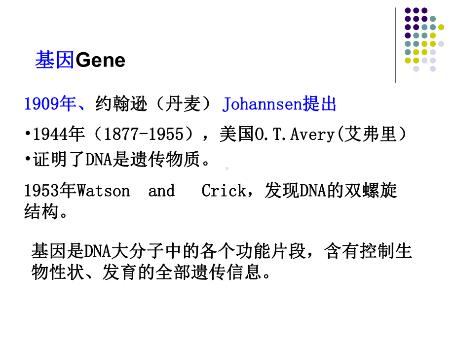 第13章DNA的生物合成-复制 Microsoft PowerPoint 演示文稿课件.ppt_第2页