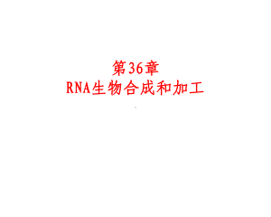 RNA生物合成和加工.ppt课件.ppt