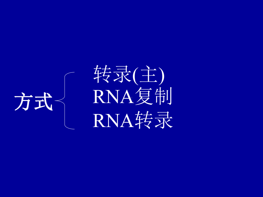 第十二章RNA的生物合成ppt课件.ppt_第2页