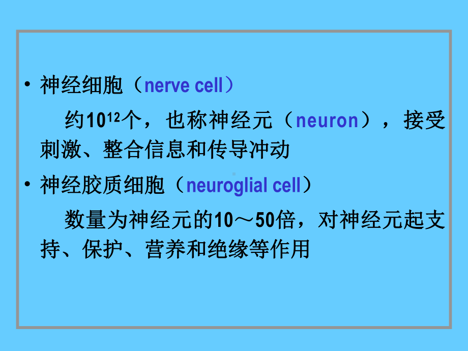 组织学与胚胎学-07神经组织课件.ppt_第3页