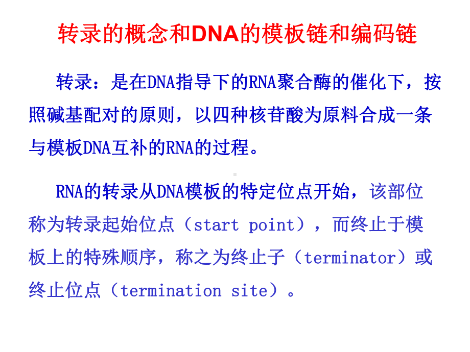 十三RNA生物合成（精品PPT）课件.ppt_第3页