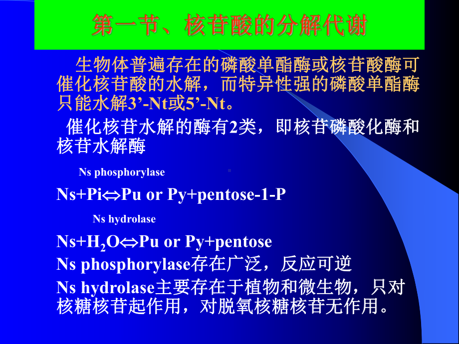 生物化学--核酸分解代谢d11[1]课件.ppt_第3页