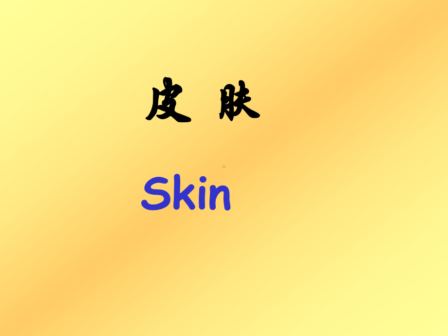 皮肤skin- 组织学与胚胎学课件.ppt_第1页