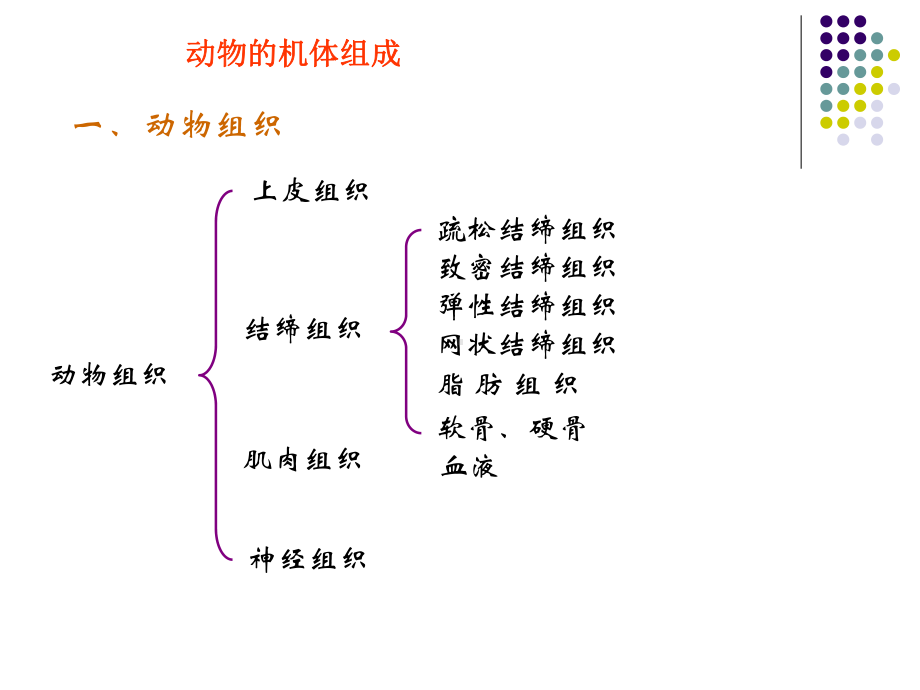 组织、器官和系统 （PPT）课件.ppt_第3页