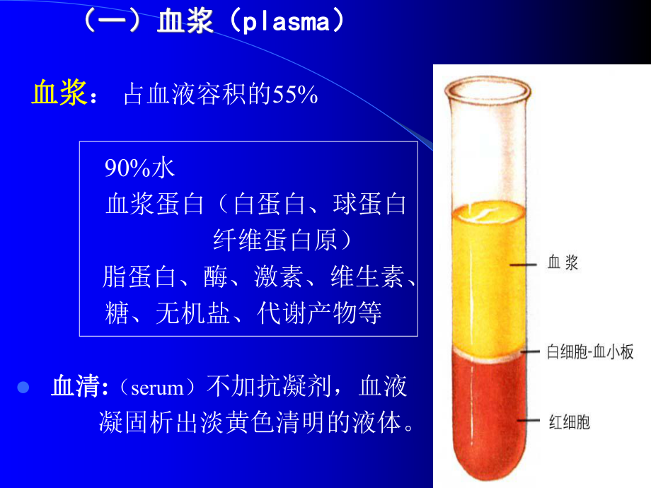 组织胚胎学-血液、淋巴与血（精品PPT）课件.ppt_第2页