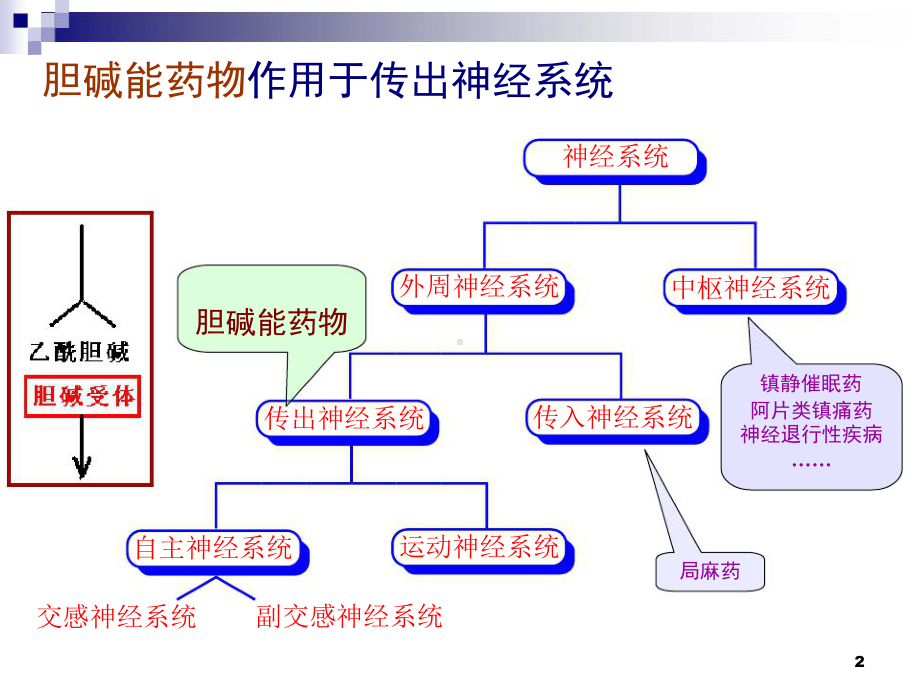 拟胆碱药和抗胆碱药（未打印）资料课件.ppt_第2页