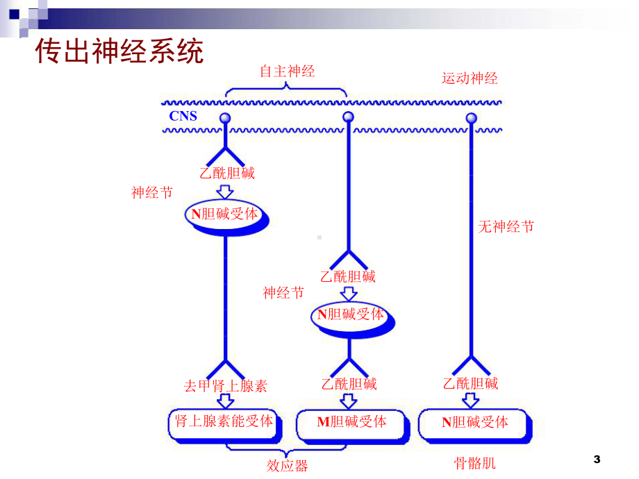 拟胆碱药和抗胆碱药（未打印）资料课件.ppt_第3页