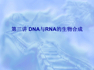 第三讲DNA与RNA的生物合成课件.ppt