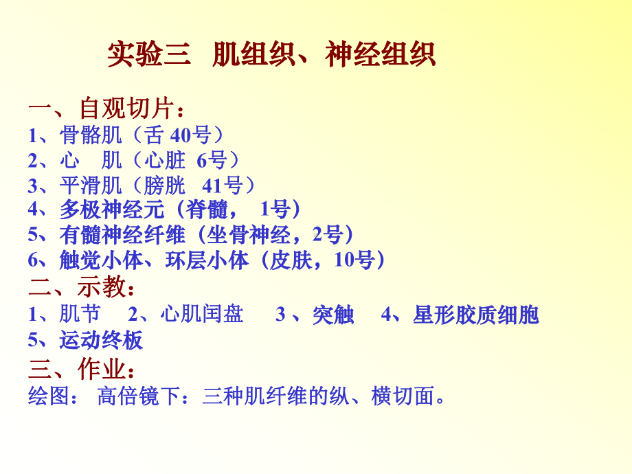 实验三：肌组织、神经组织1课件.ppt_第1页