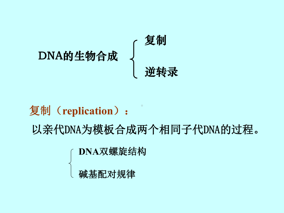 第10章 DNA生物合成.ppt课件.ppt_第3页