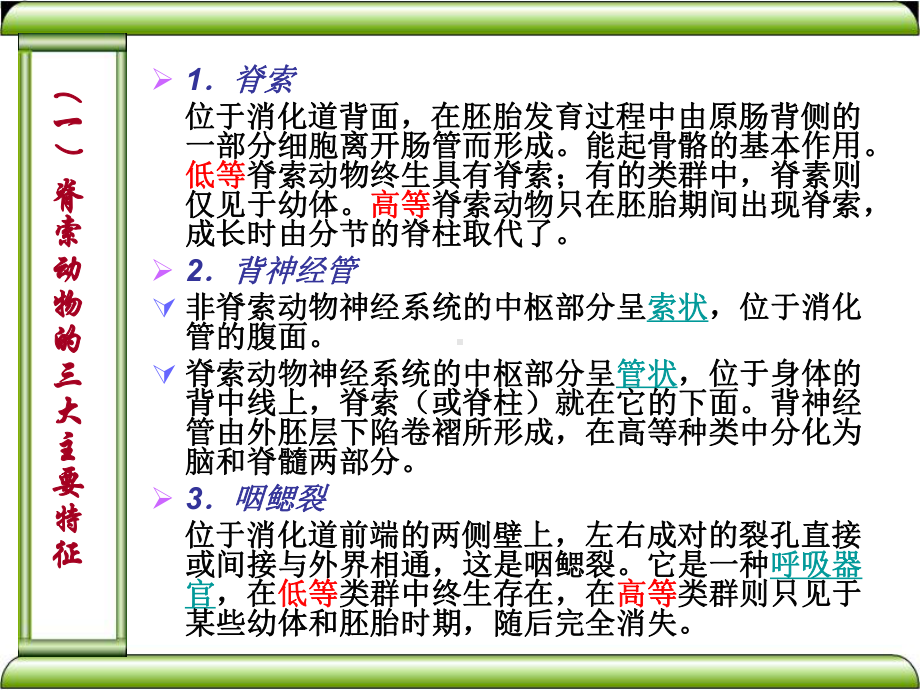 系统-器官-组织-细胞-进化论-脊椎动物课件.ppt_第2页