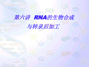 第六讲RNA的生物合成与转录后加工.课件.ppt