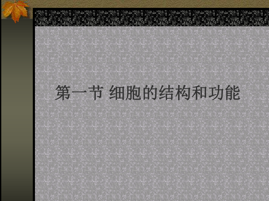 遗传的细胞基础课件.ppt_第2页