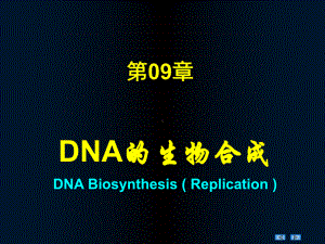 第09章DNA的生物合成PPT课件.ppt