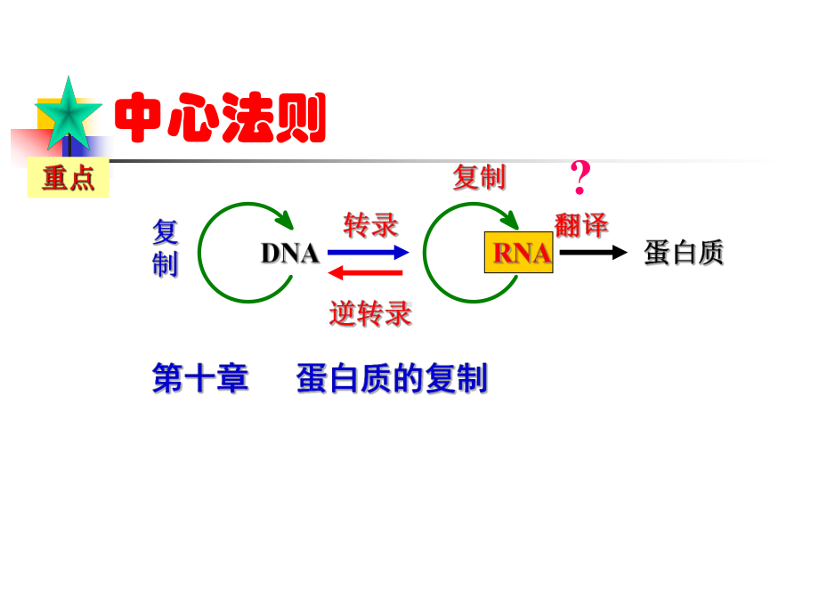 第十章 DNA的生物合成 -生命的起点课件.ppt_第2页