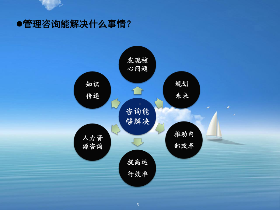 管理咨询顾问职业要点新.ppt课件.ppt_第3页