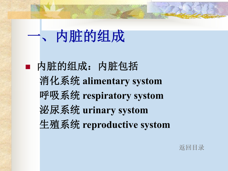 系统解剖学--内脏学总论-15页PPT资料课件.ppt_第2页